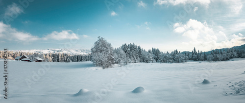 Schneelandschaft mit Wald und Bauernhäusern