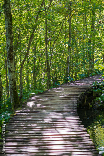 Wooden path with handrails along the Plitvice lakes and mountain forest in National Park. Croatia  Europe