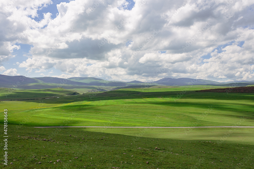 Idyllic rural view of beautiful farmland and healthy animals in a beautiful setting in Ardahan, Turkey, TR.