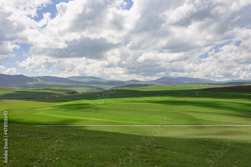 Idyllic rural view of beautiful farmland and healthy animals in a beautiful setting in Ardahan, Turkey, TR.