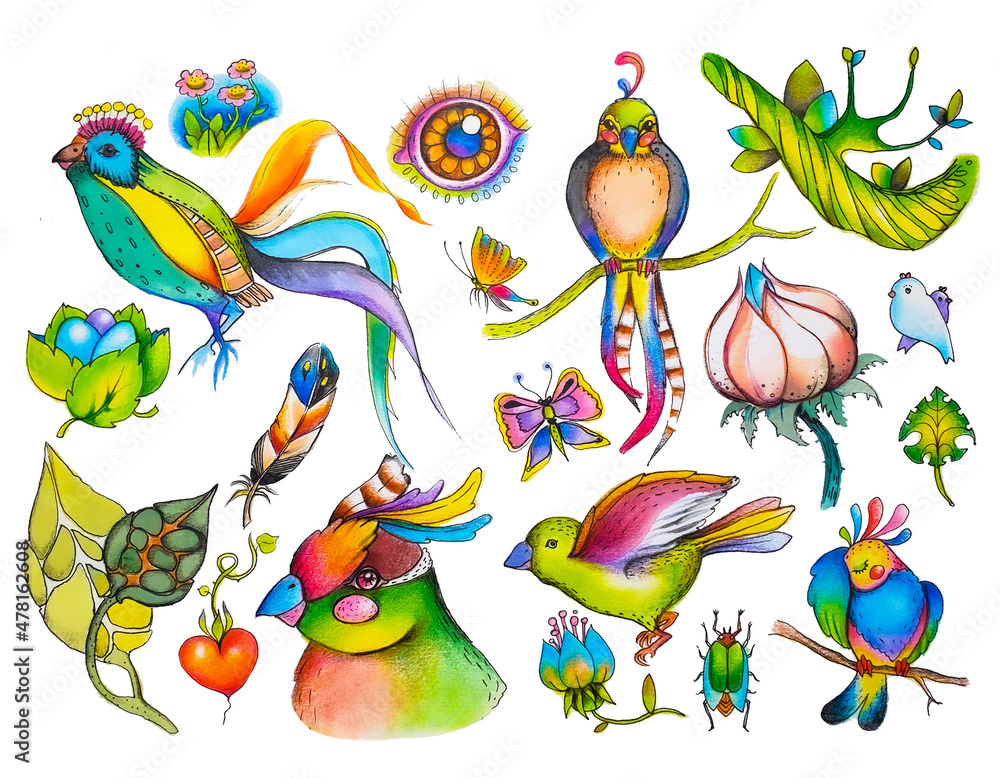 Decorative illustration with exotic plants, birds, butterflies. The set 