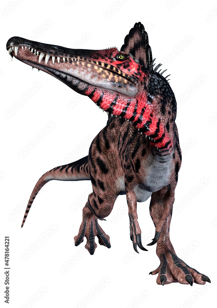 3D Rendering Dinosaur Spinosaurus on White 3D Rendering Dinosaur Spinosaurus on White