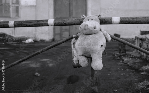 teddy bear on the fence
