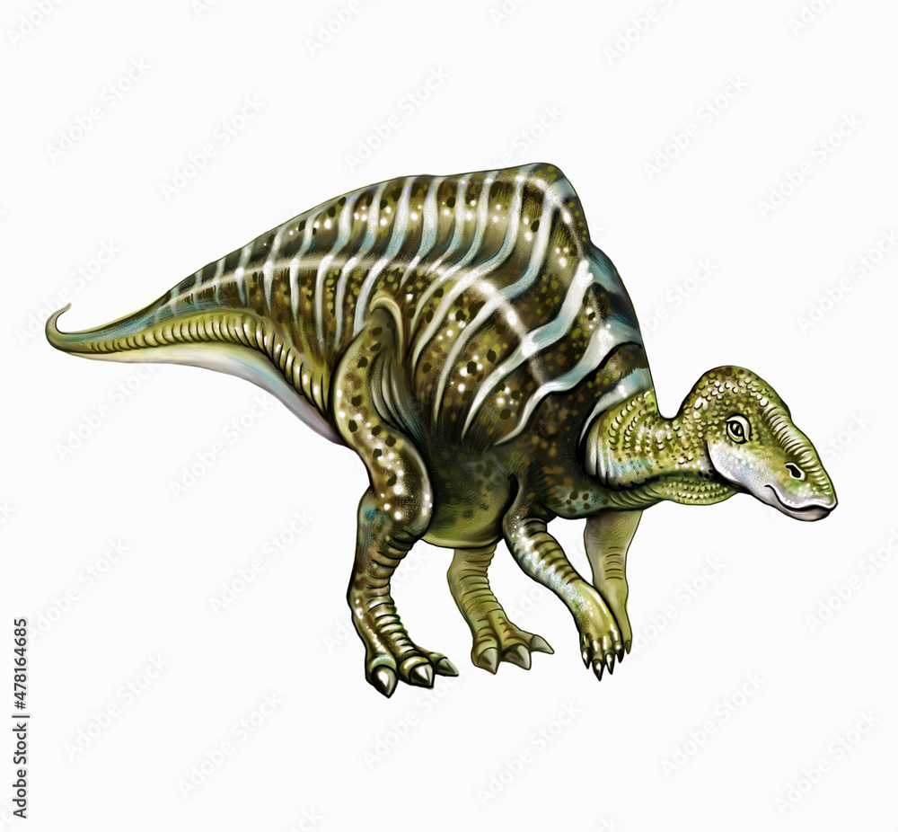 Naklejka premium Mayasaurus dinosaur