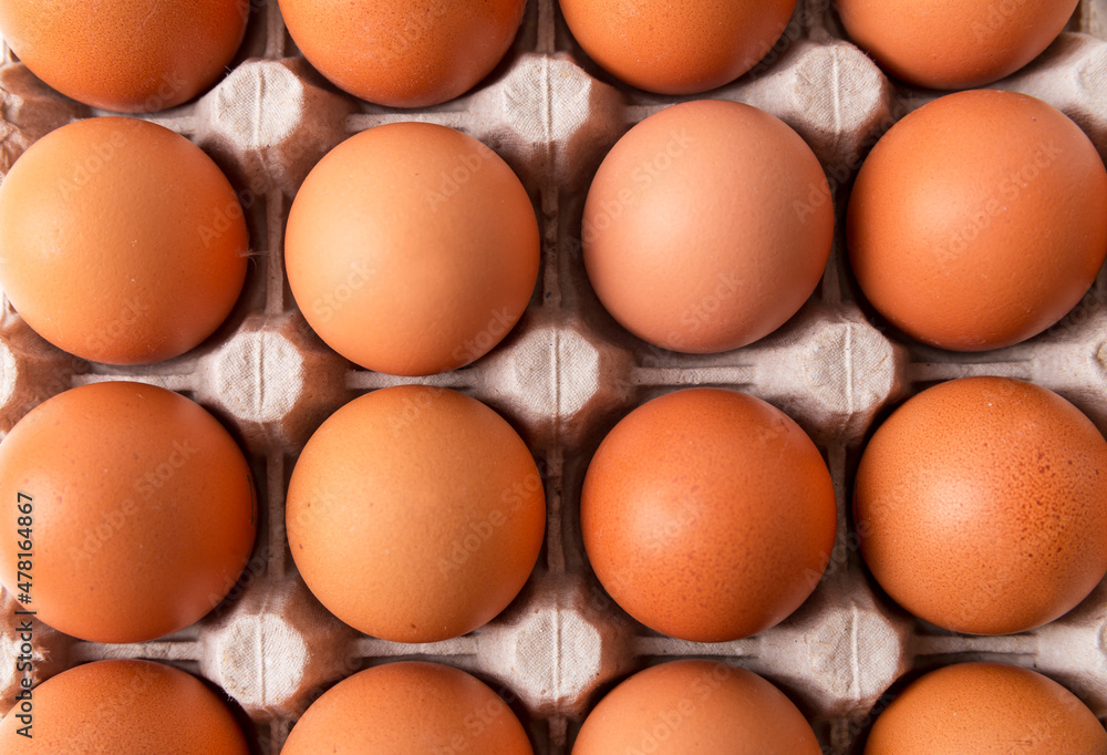 Egg box with brown eggs isolated on white background. Fresh organic chicken eggs in carton pack with copy space Egg box with brown eggs isolated on white background. Fresh organic chicken eggs in carton pack with copy space