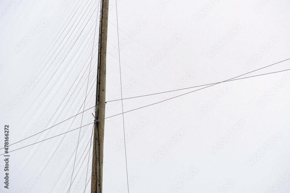 Fototapeta premium netting on a gray sky