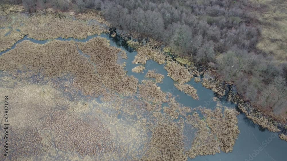 Oxbow lake Narew and flooding on a gloomy autumn day, filmed during a drone flight. Oxbow lake Narew and flooding on a gloomy autumn day, filmed during a drone flight.