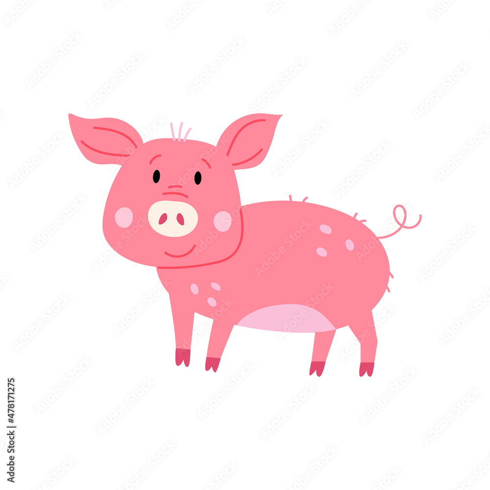 Cute character piggy Cute character piggy