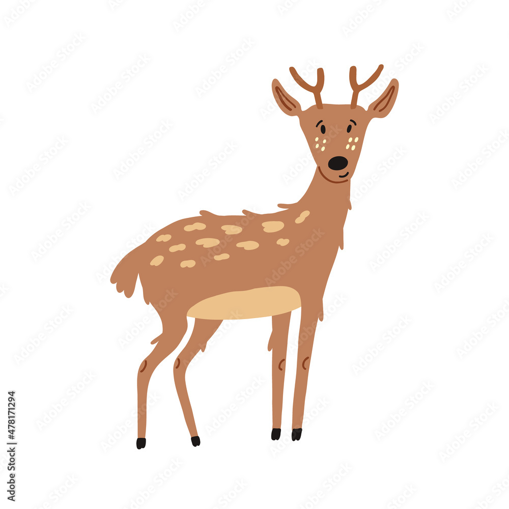 Fototapeta premium Cute Deer