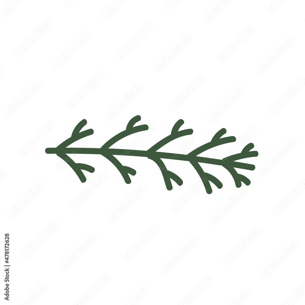 Obraz premium Green Fir branch hand drawn