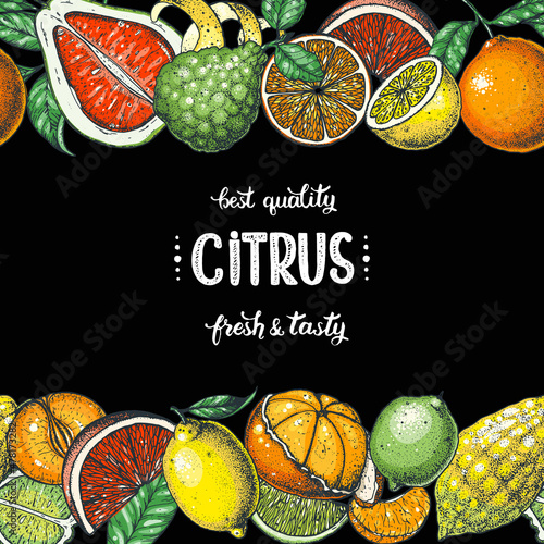 Fresh Citrus collection. Hand drawn vector illustration. Organic food frame, citrus design template. Colored illustration. Juicy citrus set. Lemon, orange, pomelo, lime, mandarin, grapefruit, citron