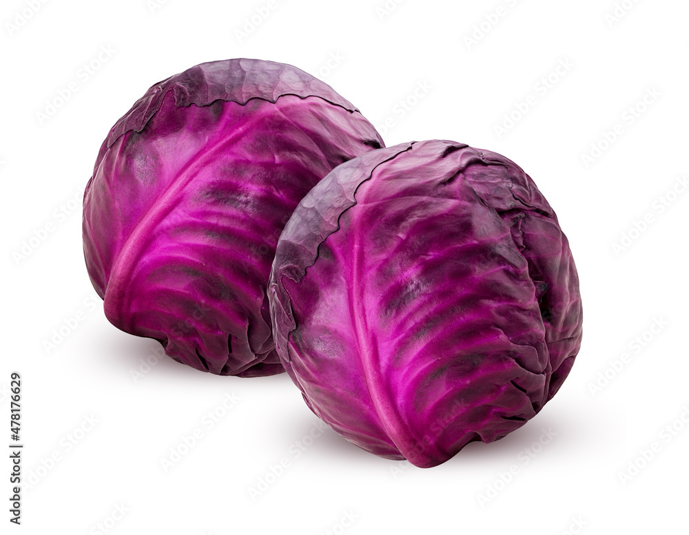 Fototapeta premium Two red cabbage