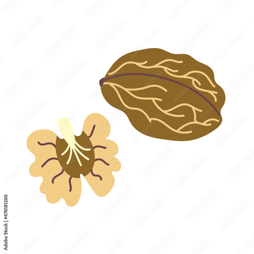 Vector Walnut Vector Walnut