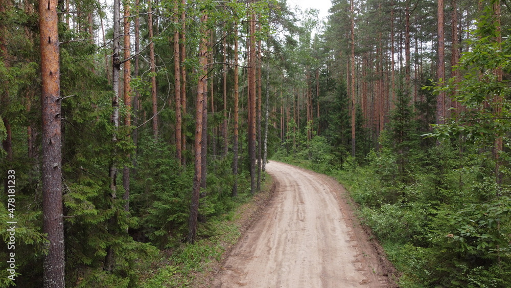 Fototapeta premium Landscape overlooking a forest road
