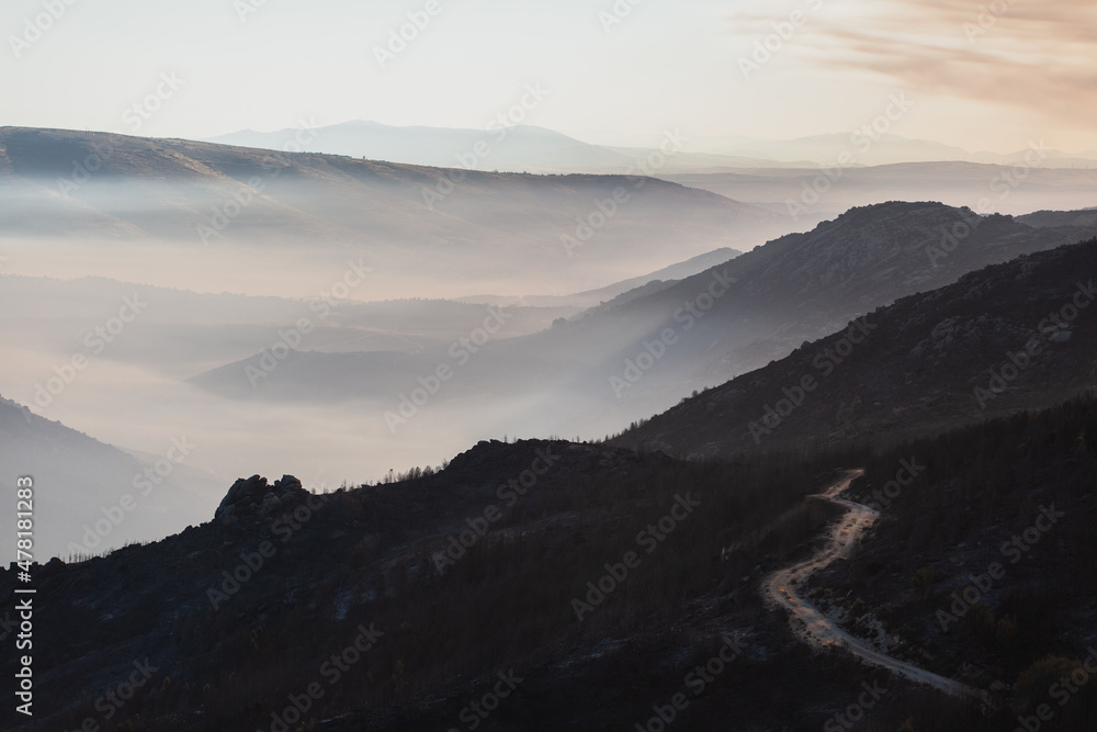Mountain landscape on a foggy calm morning after a wildfire Mountain landscape on a foggy calm morning after a wildfire