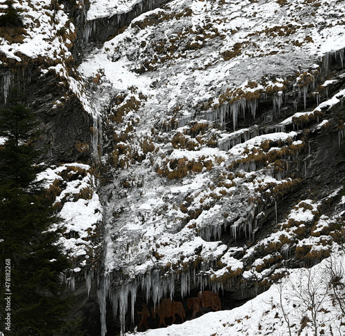 Gorges de Viamala sous la neige