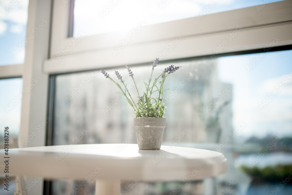 Beautiful sunlight through the window shines on a table with lavender flowers in a concrete vase Beautiful sunlight through the window shines on a table with lavender flowers in a concrete vase