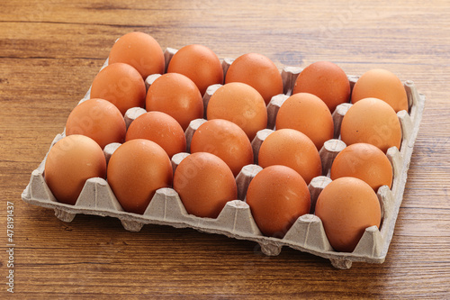 Organic chicken egg in the carton