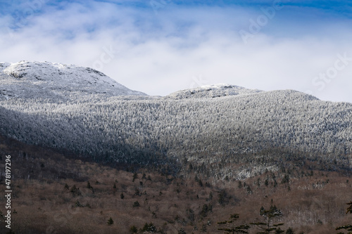 Snow covered mountains with pine and maple trees and cloudy blue skies.
