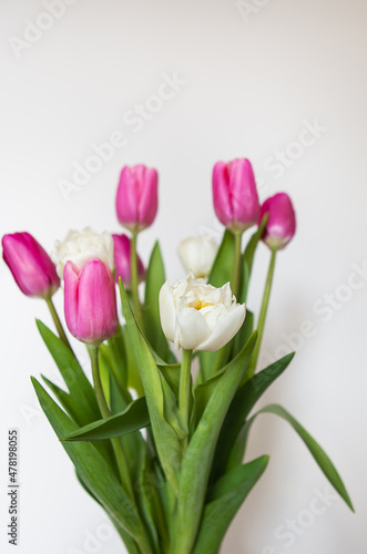 Fototapeta Naklejka Na Ścianę i Meble -  Beautiful spring bouquet with pink and white tulips on a white background. Spring, 8 March, birthday. Postcard, place for an inscription.