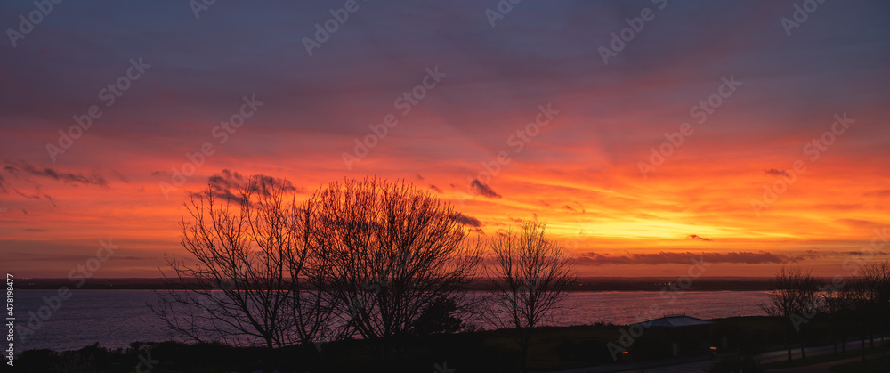 Obraz premium Winter trees silhouetted at sunset over Pegwell Bay looking towards Sandwich, Kent, UK