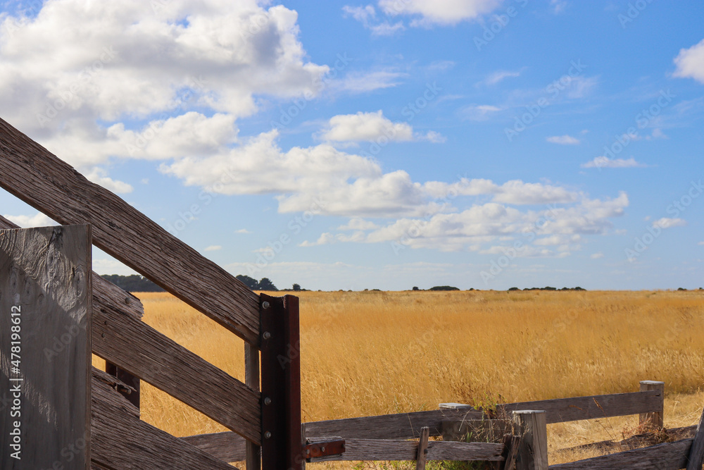 cattle grid against fields cattle grid against fields