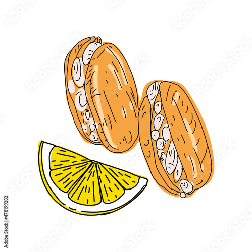 Street food. Stuffed mussels. Heap of mussels in shells stuffed with rice and served with lemon. Design element for poster, menu, flyer, banner, package. Vector.