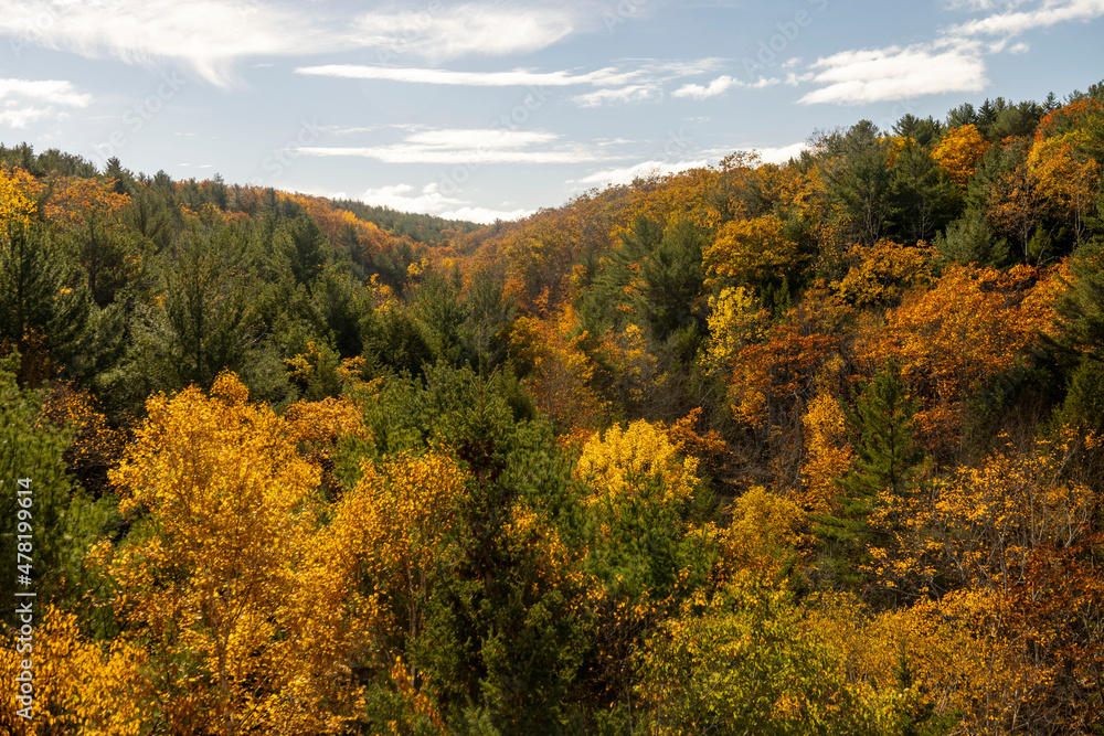 autumn landscape in the mountains