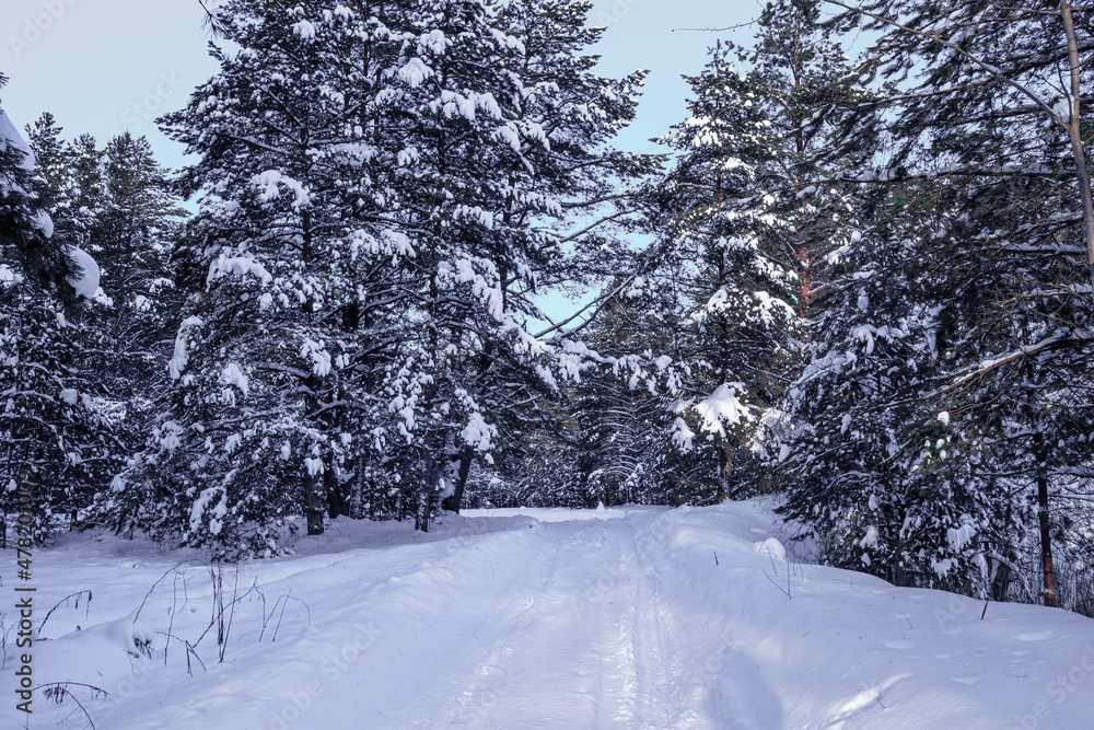 Obraz premium Winter landscape with a snow-covered road in the forest