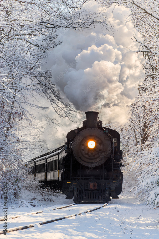 Fototapeta premium Steam Train in snow