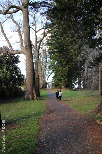 Trails and walkways around Tauranga New Zealand 