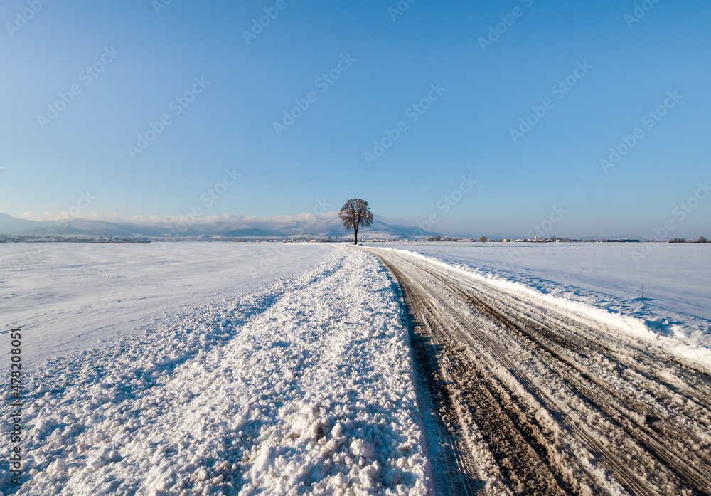 Snowy road in the fields of Alsace. Sunny winter day.