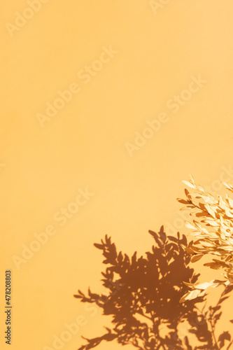 Shadows of twigs of dry plants on the wall in orange color. Nature vertical background with copy space vertical format