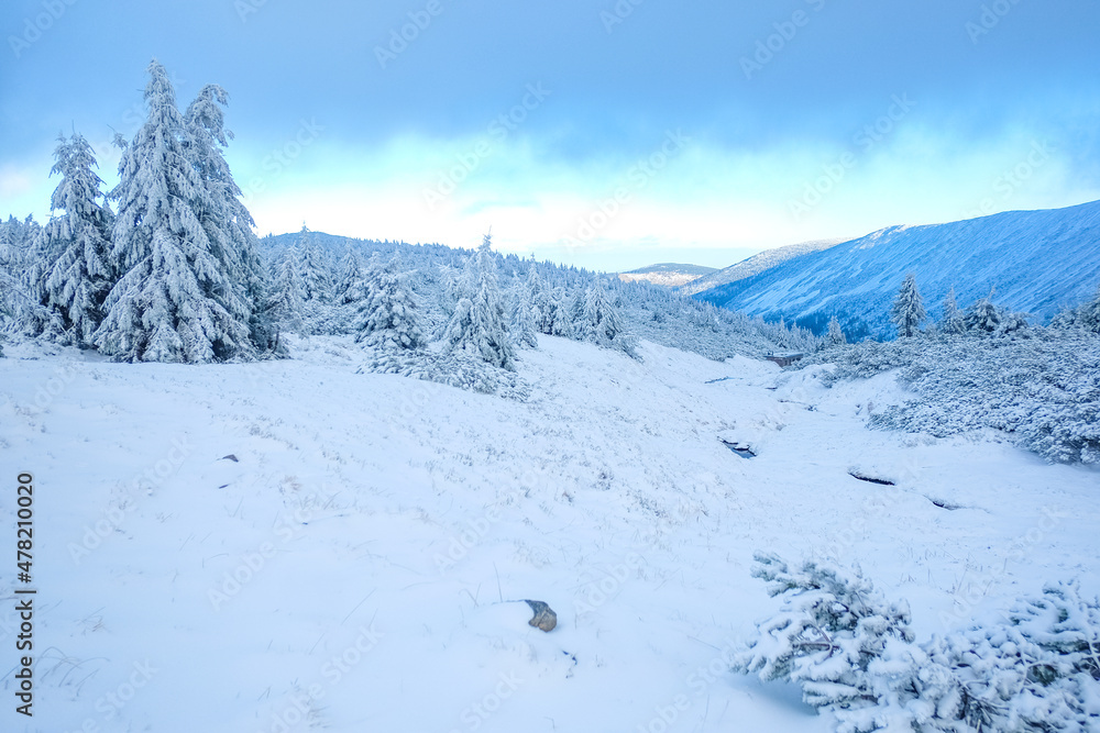 Winter vacation in the mountains. Snowy landscape Winter vacation in the mountains. Snowy landscape
