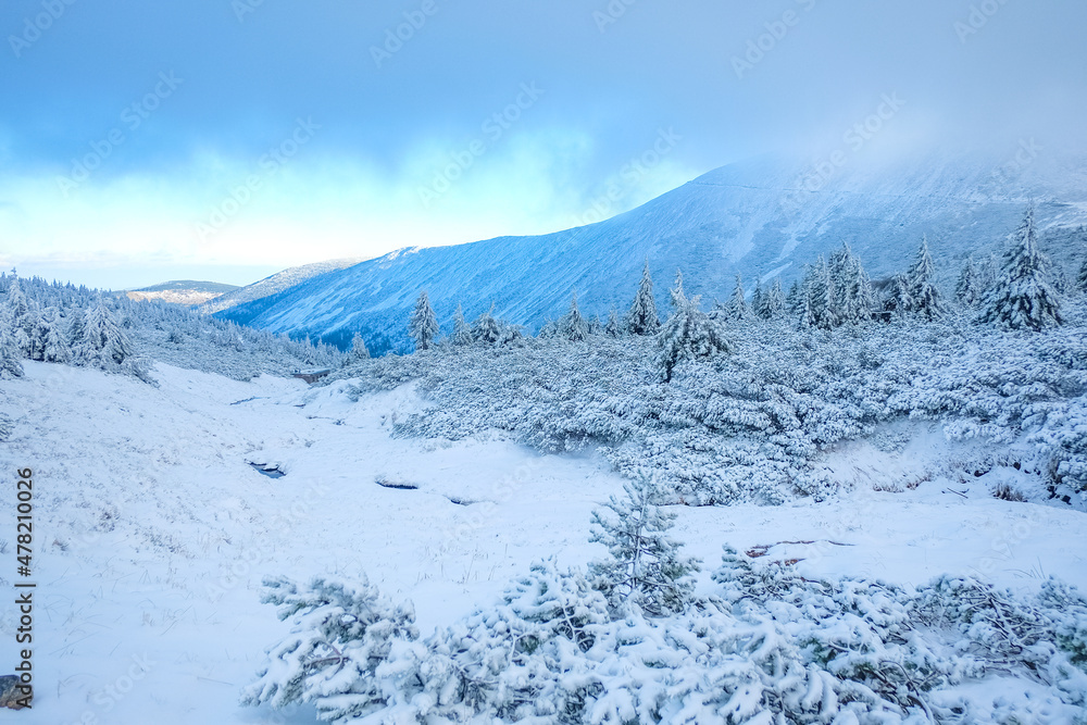 Winter vacation in the mountains. Snowy landscape