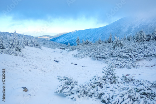 Winter vacation in the mountains. Snowy landscape © Yevhen