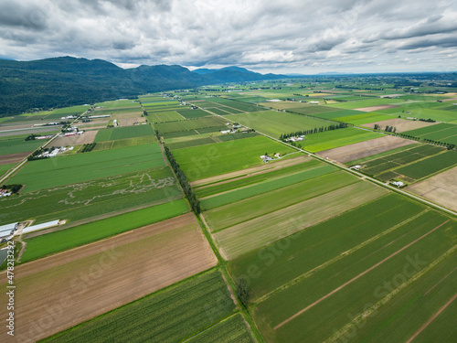 Stock Aerial Photo of Agricultural Farmland Abbotsford BC  , Canada photo