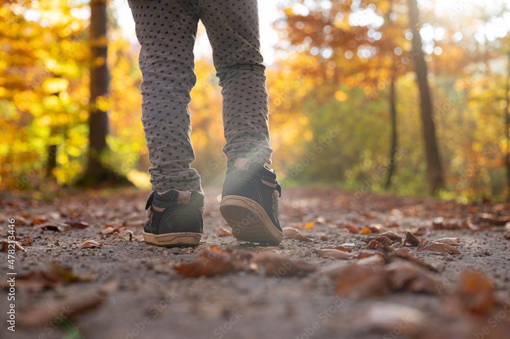 Low angle view of a toddler child legs walking on an autumn forest trail