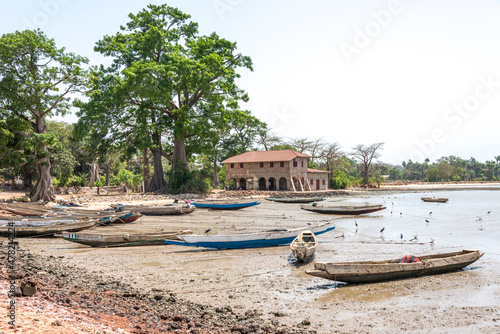 Costa de Albadarr en el río Gambia photo