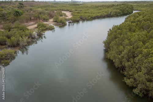 Vista del río Gambia y selva de Makasutu photo