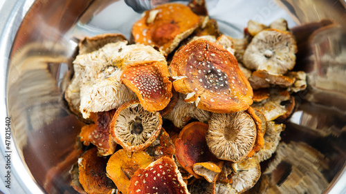 Amanita muscaria is a mystical medicinal mushroom. Ibotenic acid and muscimol