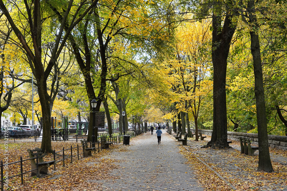 Φωτογραφία Urban forest in northern Manhattan in Riverside Park along the Hudson River