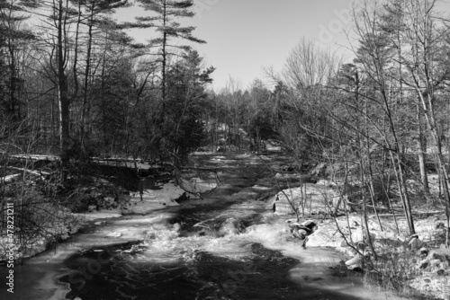 A river in the winter woods