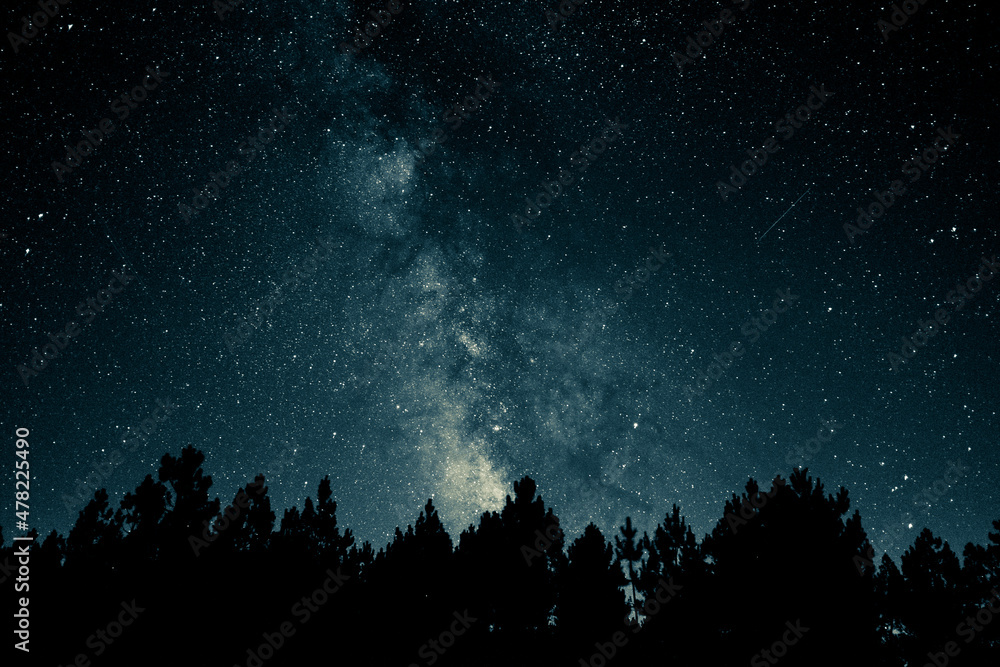 Fototapeta premium stars in the night