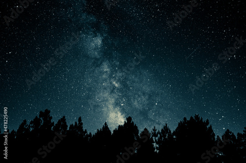 stars in the night