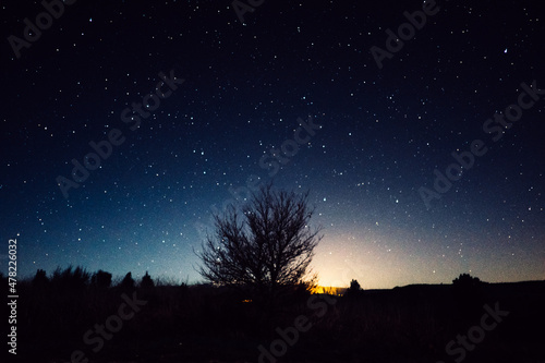 night sky with stars and trees