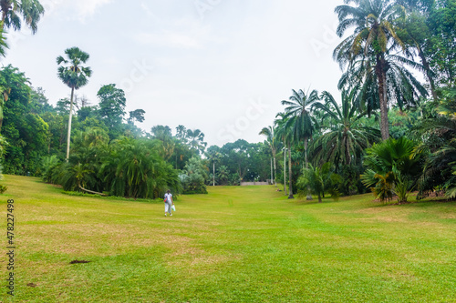 landscape of singapore botanic gardens