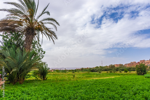 Oasis of Tinghir, little town in Morocco