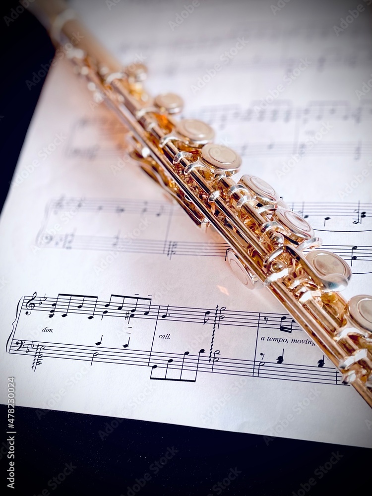 Fototapeta premium classical flute