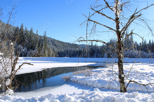 Winter Scene